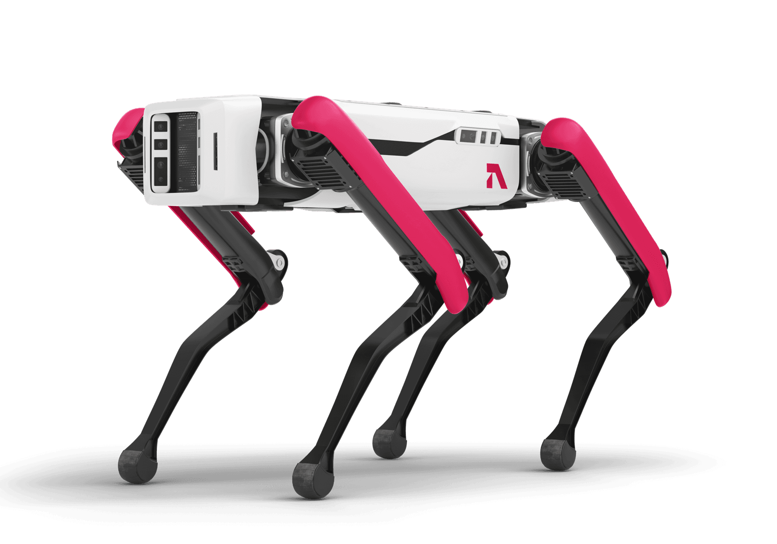 Sentinel K9